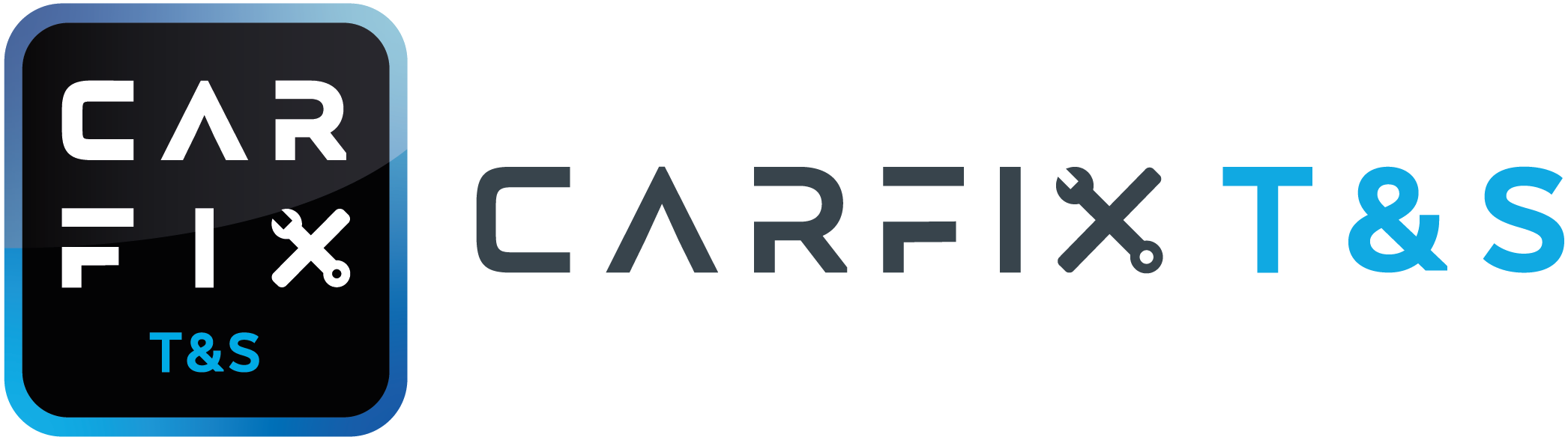 Logo Carfix T&S