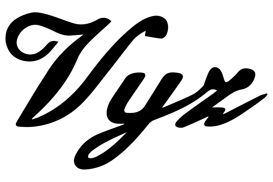Logo Vijz Bespokes